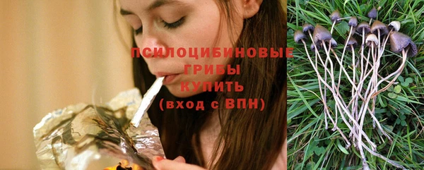 прущий лед Алексеевка