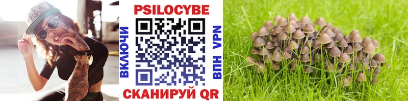 МЕГА как войти  закладки  Льгов  shop как зайти  Галлюциногенные грибы Psilocybine cubensis 